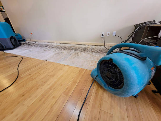 Professional Water Removal technician working in Mcbrides, MI